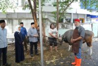 Foto: Wali Kota Makassar, Munafri Arifuddin bersama Wakil Wali Kota Makassar, Aliyah Mustika, saat  menyaksikan prosesi penyembelihan hewan kurban.