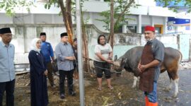 Foto: Wali Kota Makassar, Munafri Arifuddin bersama Wakil Wali Kota Makassar, Aliyah Mustika, saat  menyaksikan prosesi penyembelihan hewan kurban.