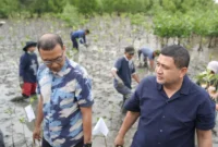 Wali Kota Makassar, Munafri Arifuddin, menghadiri kegiatan penanaman mangrove di kawasan wisata mangrove Dermaga A, Kelurahan Untia, Kecamatan Biringkanaya