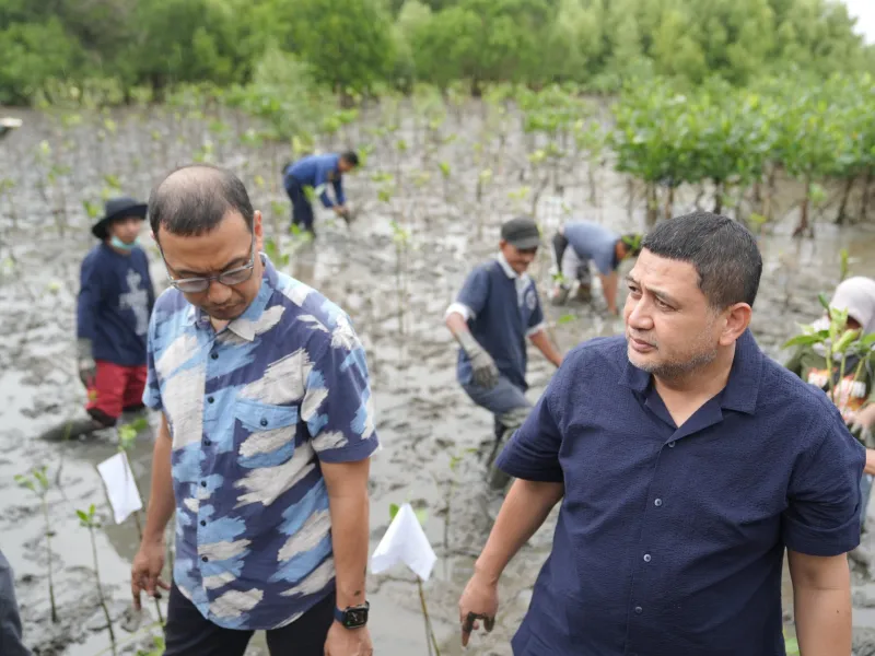 Wali Kota Makassar, Munafri Arifuddin, menghadiri kegiatan penanaman mangrove di kawasan wisata mangrove Dermaga A, Kelurahan Untia, Kecamatan Biringkanaya
