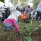 Ketua TP PKK Makassar Melinda Aksa turut mencabut rumput liar saat aksi Jumat Bersih di kawasan Pantai Losari, Jumat (18/7/2025).
