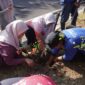 Ketua TP PKK Makassar, Melinda Aksa, bersama petugas dan pengurus organisasi perempuan menanam pohon bougenville di kawasan Anjungan Pantai Losari, Jumat (1/8/2025), sebagai bagian dari program Jumat Bersih.