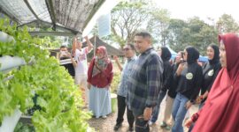 Wali Kota Makassar Munafri Arifuddin brsama warka RT/RW launching Urban Farming