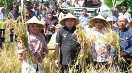Foto: Walikota Makassar bersama Kadis Perikanan dan Pertanian Kota Makassar Aulia Arsyad