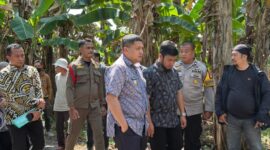Foto: Wali Kota Makassar Munafri Arifuddin saat meninjau lahan milik Pemerintah Kota Makassar di Jalan Praja Raya, Kompleks Pemda Antang, Kelurahan Manggala 