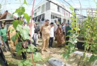 Foto: Wali Kota Makassar, Munafri Arifuddin, menghadiri kegiatan Launching Gerakan Urban Farming Bukit Baruga