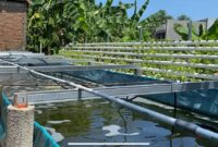 Foto: salah satu lokasi Urban farming di Kelurahan Tanjung Merdeka, Kecamatan Tamalate