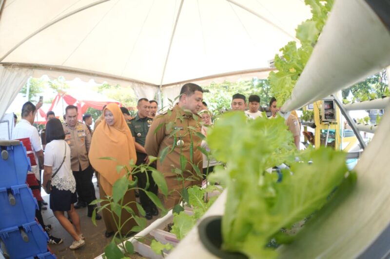 Foto: Wali Kota Makassar Munafri Arifuddin saat meninjau budidaya sawi dengan metode hidroponik