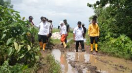 Foto: Wali Kota Makassar, Munafri Arifuddin saat meninjau langsung kawasan Romang Tangayya, Kelurahan Tamangapa, Kecamatan Manggala