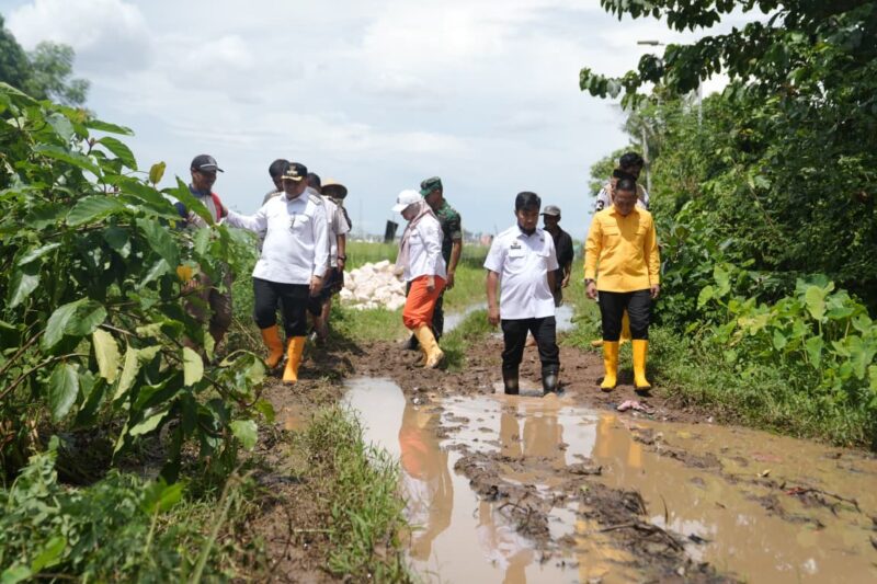 Foto: Wali Kota Makassar, Munafri Arifuddin saat meninjau langsung kawasan Romang Tangayya, Kelurahan Tamangapa, Kecamatan Manggala