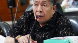 Foto: Pakar Hukum Tata Negara Universitas Hasanuddin (Unhas) Prof. Ilmar