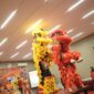Foto: Atraksi Barongsai yang tergabung dalam FOBI