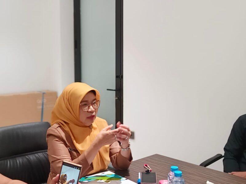 Foto: Kepala DPPA Kota Makassar, drg. Ita Isdiana Anwar
