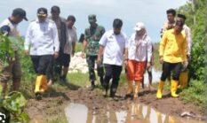 Walikota Munafri Respon Aspirasi Warga, Rp4 Miliar untuk Perbaikan Jalan di Romang Tangayya