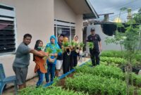 Foto: Panen kangkung warga RW 005 Kelurahan Bangkala
