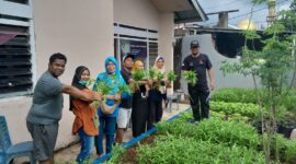 Foto: Panen kangkung warga RW 005 Kelurahan Bangkala