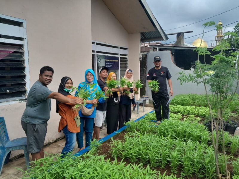 Foto: Panen kangkung warga RW 005 Kelurahan Bangkala