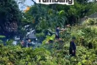 Foto: Penanganan pohon tumbang oleh DLH Kota Makassar