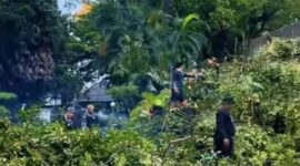 Foto: Penanganan pohon tumbang oleh DLH Kota Makassar