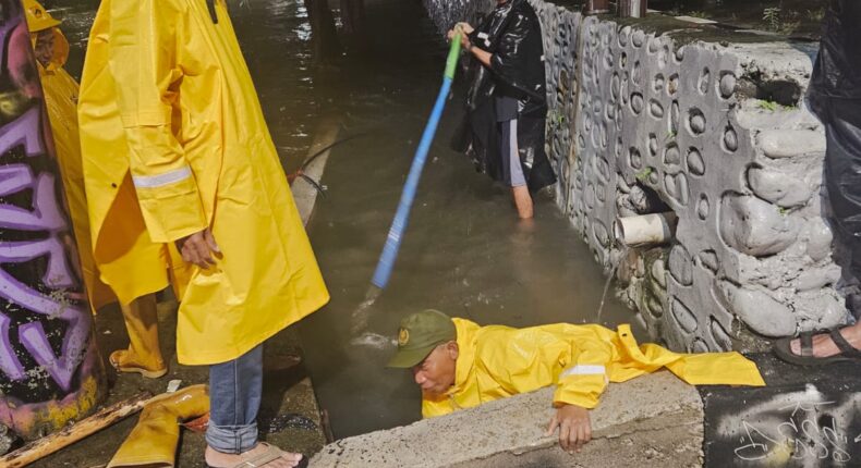 foto slider headline