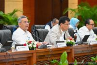 Foto: Wakil Menteri Keuangan (Wamenkeu) Suahasil Nazara (Sumber: Kemenkeu RI)